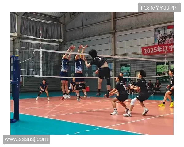 广州排球队耐力研究：提升竞技水平的关键因素分析与探讨