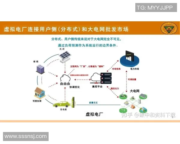 深圳网球队战术解析与对比分析深度剖析球队优势与不足