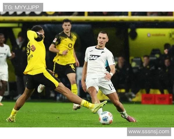 多特蒙德主场迎战霍芬海姆期待精彩对决与胜利之争