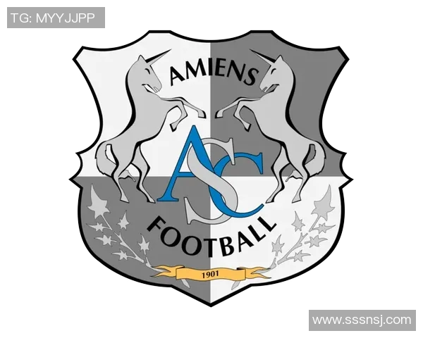 尼姆与马赛对决前瞻分析及赛果预测全面解读