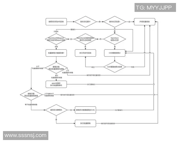 轻量级与重量级的全面对比探讨适合不同需求的选择与应用